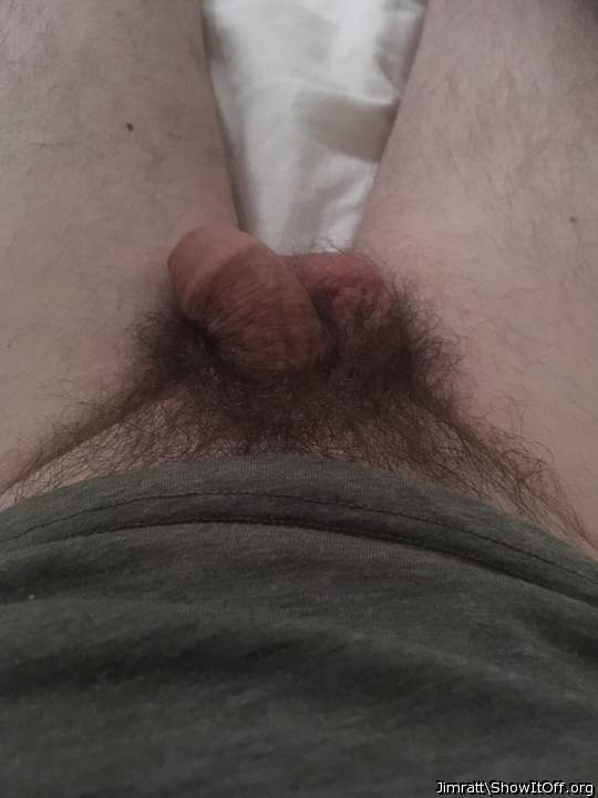 Photo of a cock from Jimratt