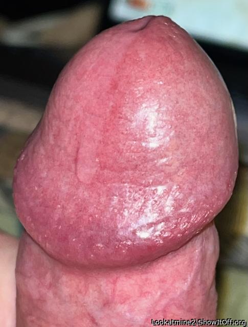 Glans Closeup With Precum