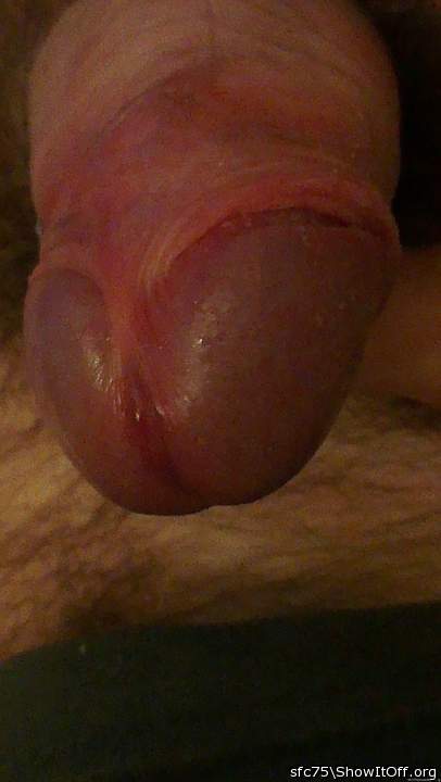 Photo of a hot dog from sfc75