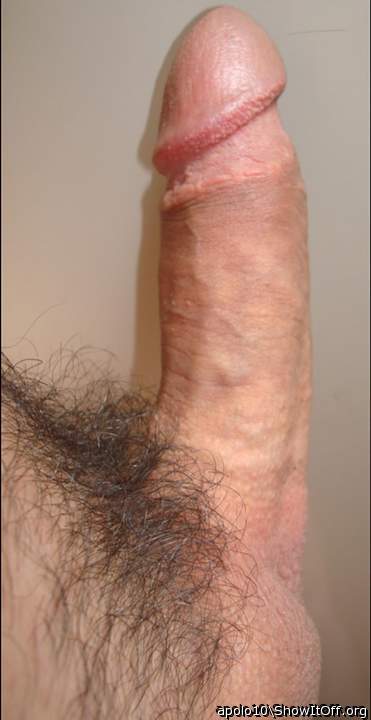 Photo of a joystick from apolo10