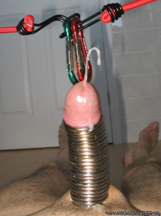24 rings, 2 carabiners, 2 bungee cords & skwirting!