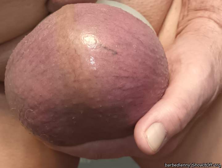 Testicles Photo from barbedlenny