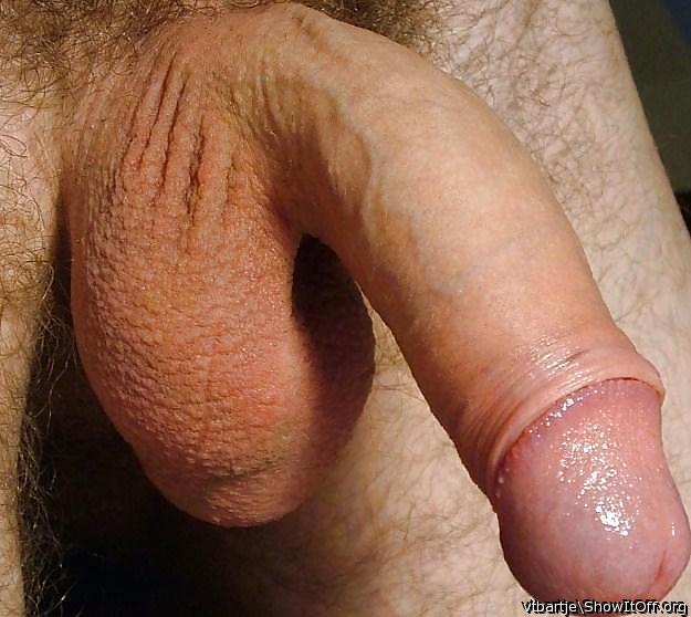 Nice cock and balls  