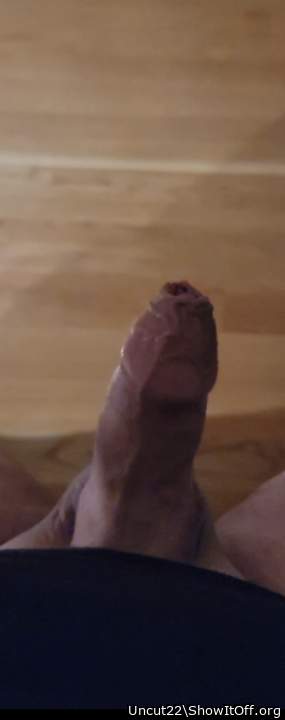 Hard and horny