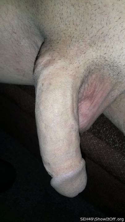 Photo of a horn from SEH49