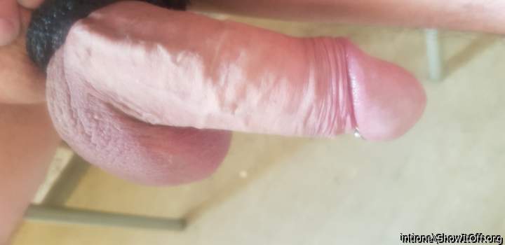 Photo of a python from intione