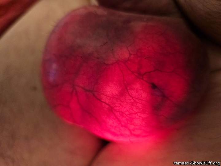 Taschenlampe leuchtet durch den aufgeblasenen sack