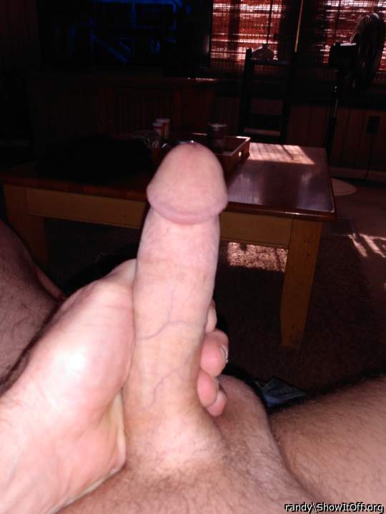 Photo of a ram rod from randy