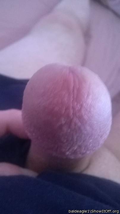 Photo of a boner from baldeagle1