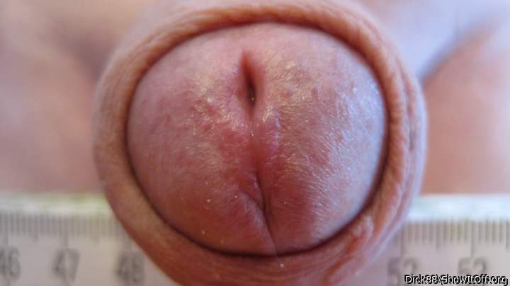 Photo of a sausage from Dick88