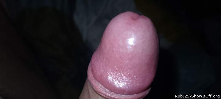 Photo of a bald-headed mouse from RubJ25