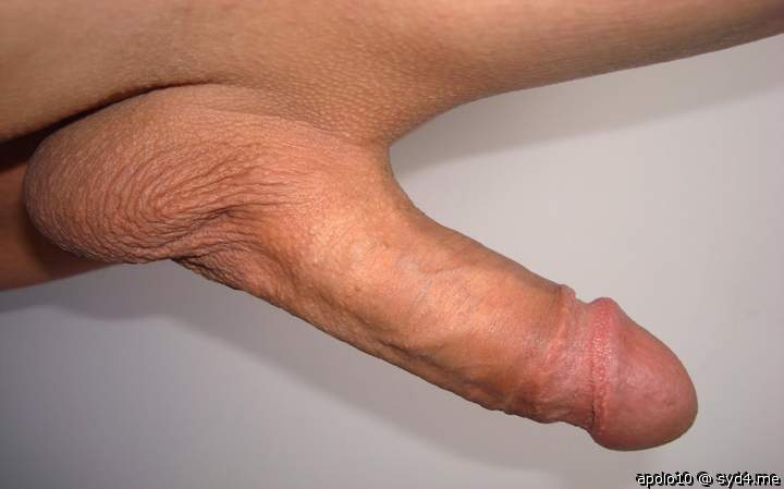 Photo of a hot dog from apolo10