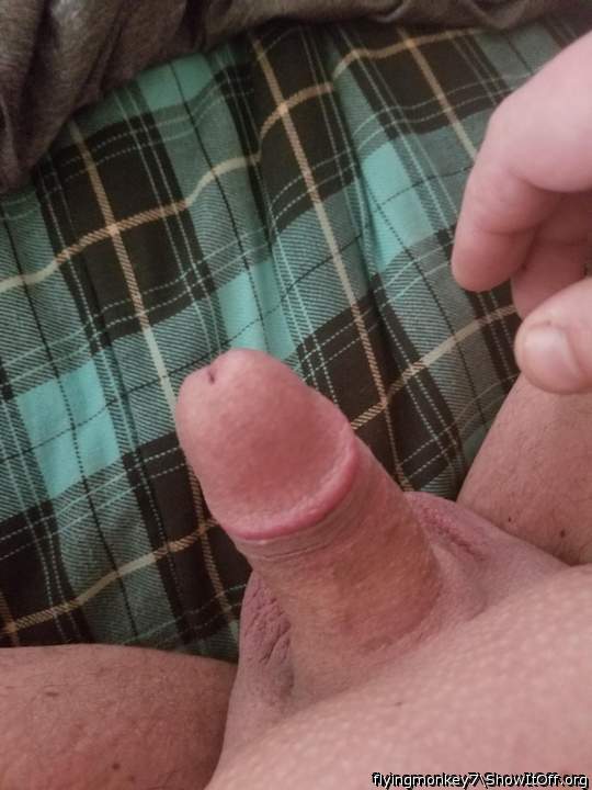 Photo of a stiffie from flyingmonkey7