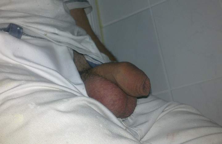 Photo of a weasel from babarianboy