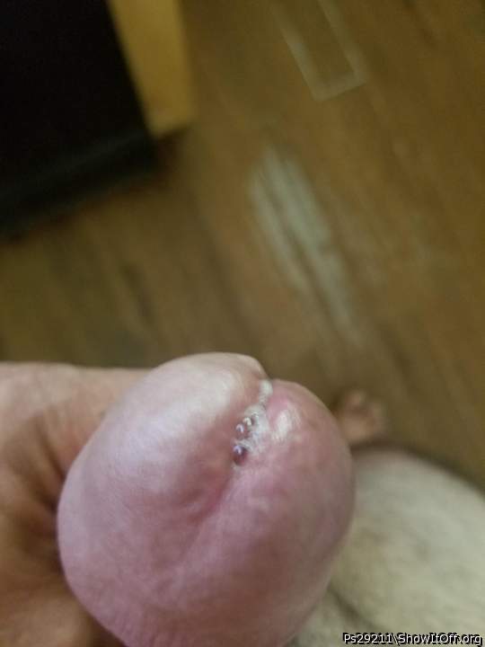 C'Mon boys, its my birthday. Give me a nice present?
