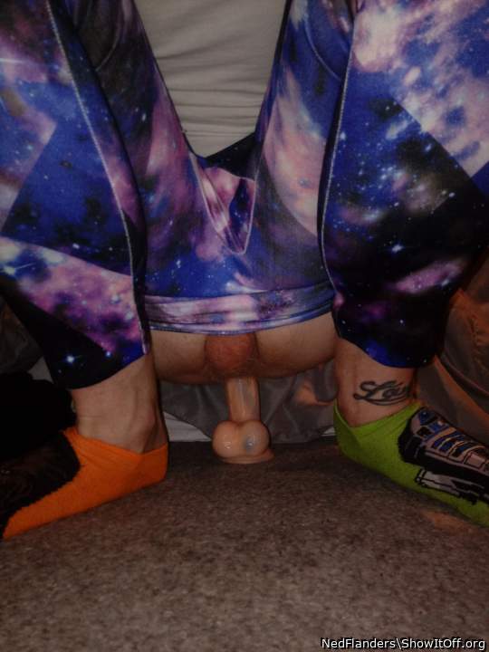 Photo of a middle leg from NedFlanders