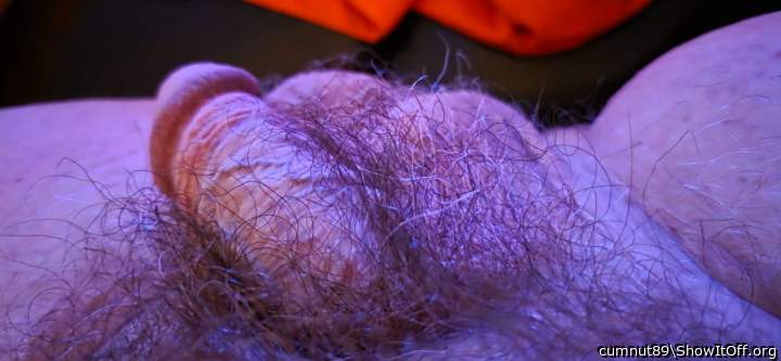 Photo of a hot dog from cumnut89