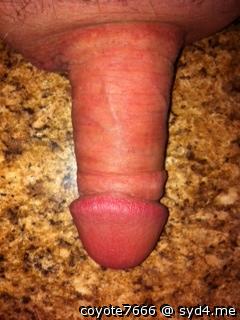 Photo of a penile from coyote7666