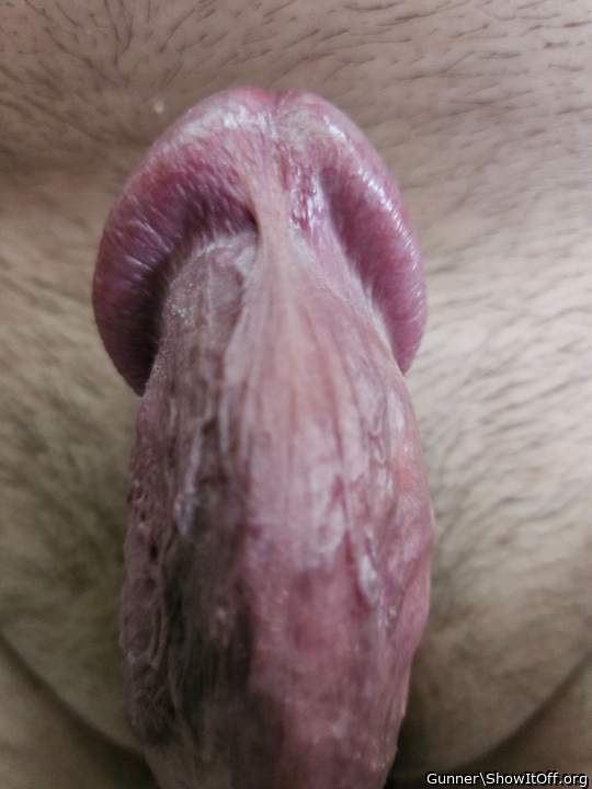 Photo of a stiffie from Gunner