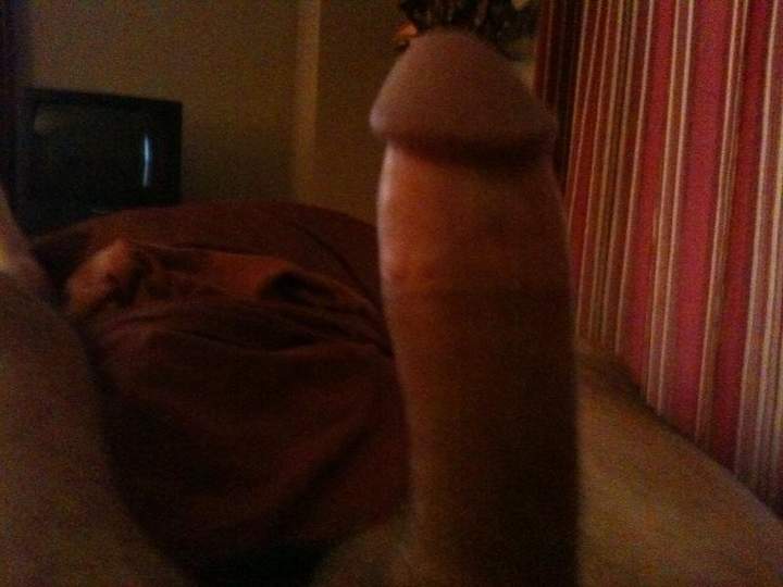 Photo of a python from bdguy