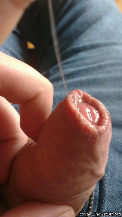 Photo of a power tool from covas