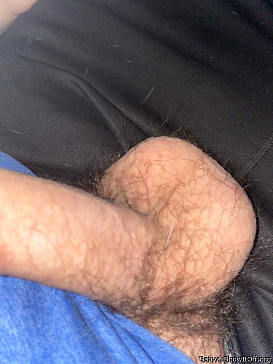 Testicles Photo from Sativa