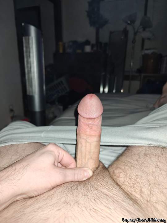 Photo of a dick from Ripley