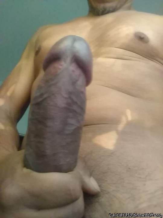 Photo of a horn from CaliCBT310
