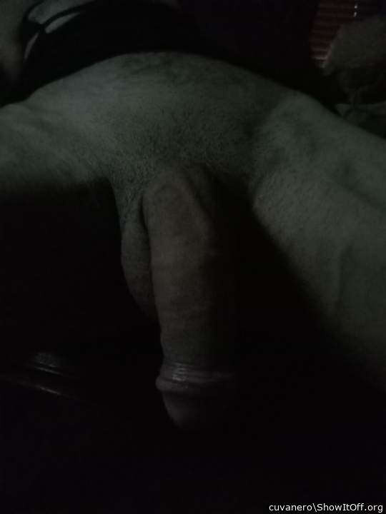 Photo of a bat from cuvanero