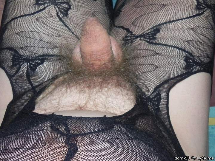 Photo of a weasel from dom-58