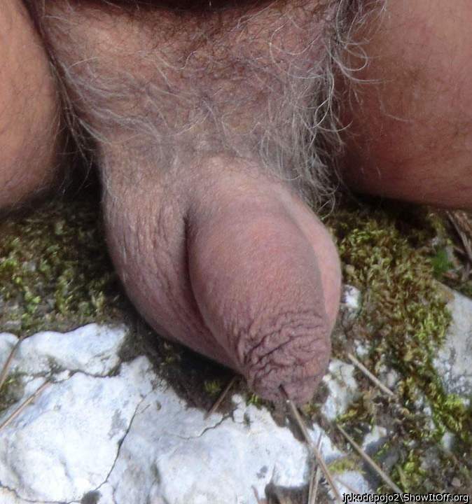 Photo of a dick from jokodepojo2