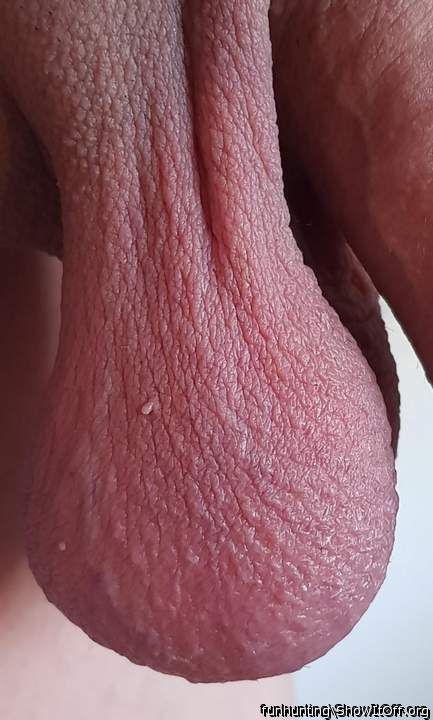 Who wants to suck um ?