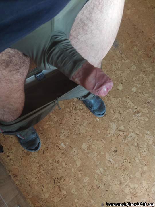 briefs