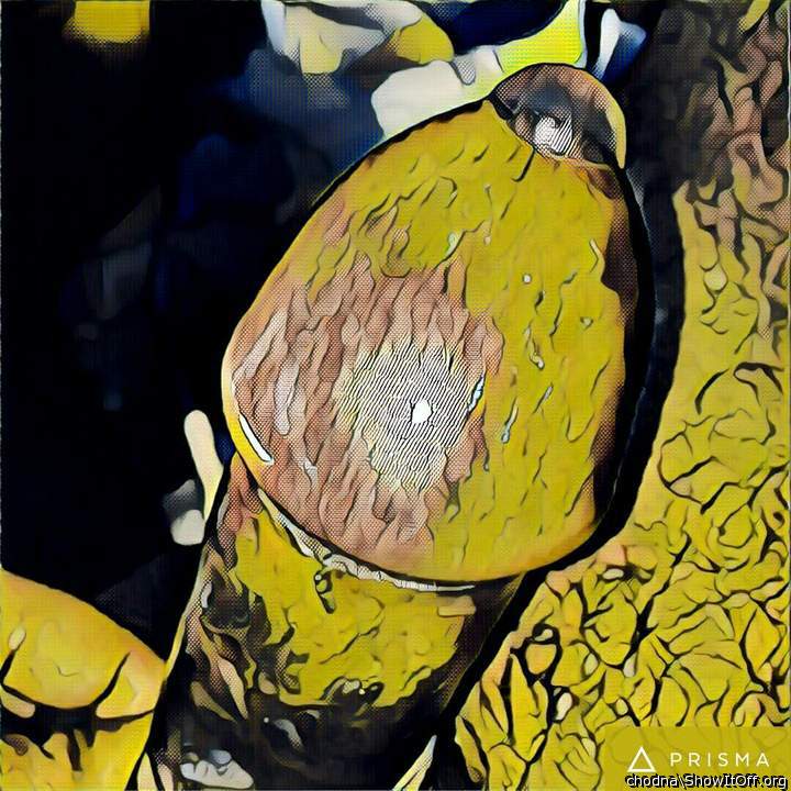 Photo of a one-eyed monster from chodna