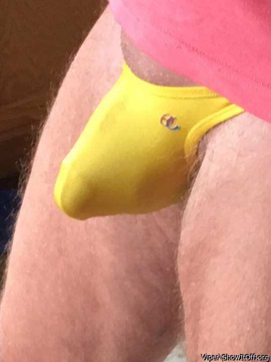 Photo of a bat from Viper