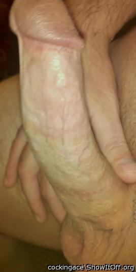 Photo of a third leg from cockingace