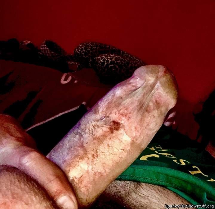 Photo of a meat stick from Spanky18