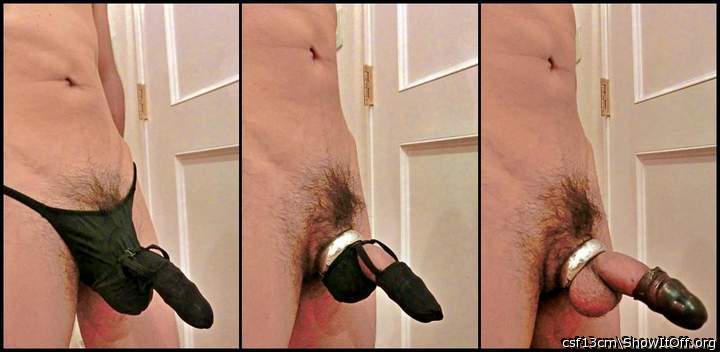 penis armour_unelected