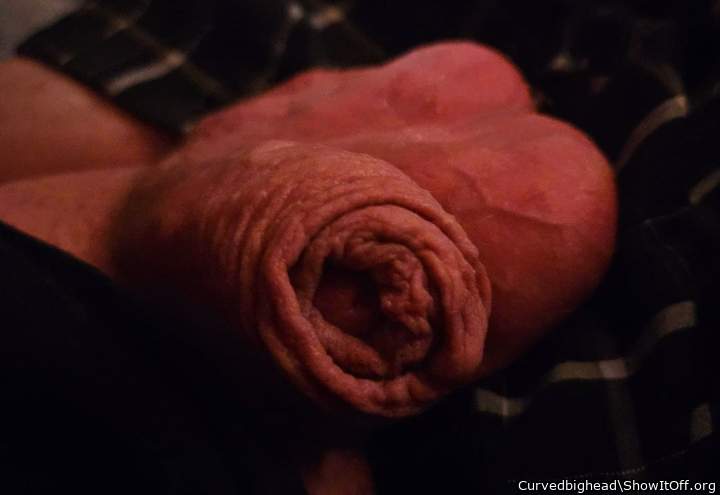 Photo of a pecker from Curvedbighead