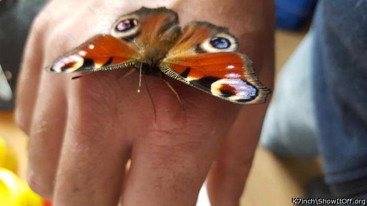  So Beautiful, isn't nature Amazing