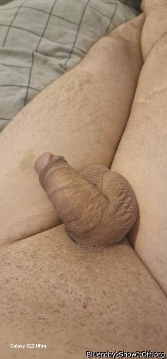 Photo of a middle leg from Blueroby