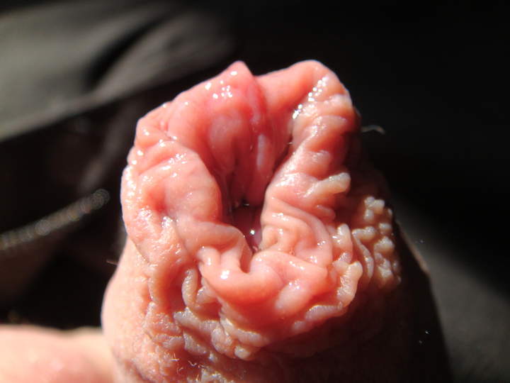 Photo of a boner from sivad666