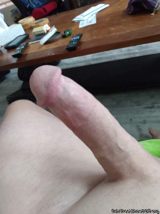 Photo of a hot dog from fish4free