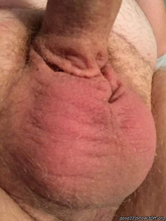 Testicles Photo from good22