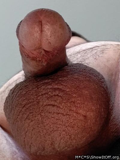 Photo of a hot dog from M*C*S