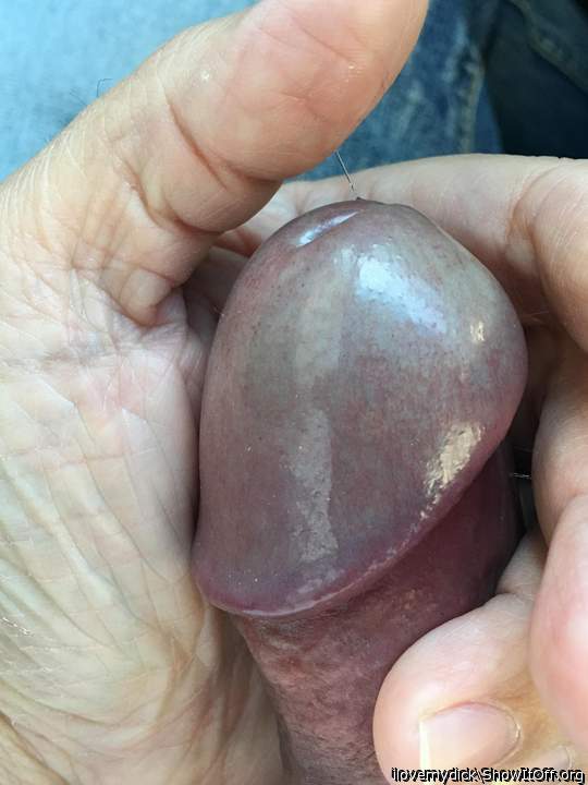 Photo of a boner from ilovemydick