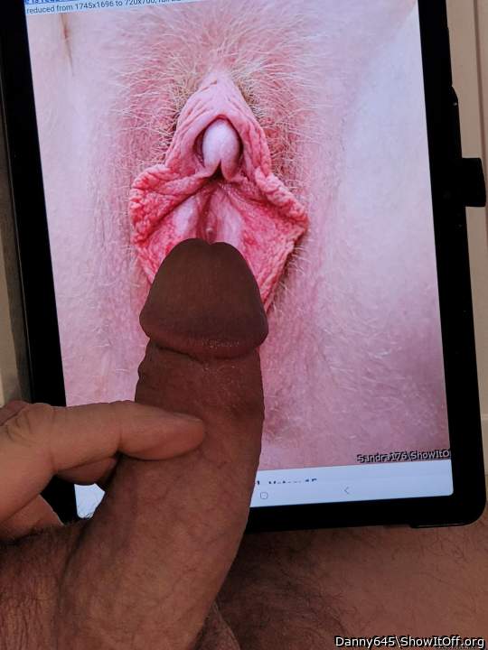 Photo of a bald-headed mouse from Danny645