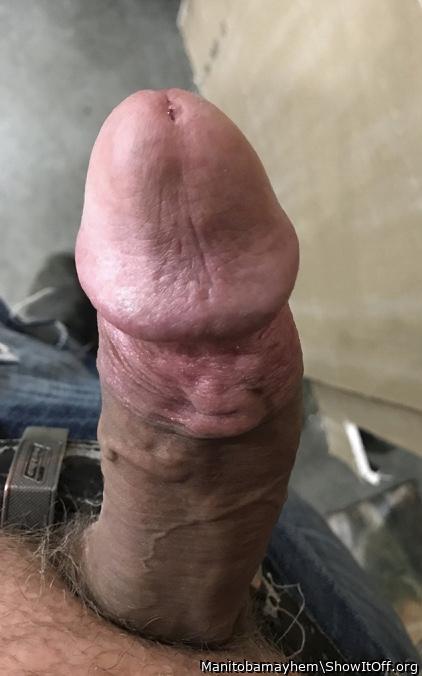 Nice looking cock 