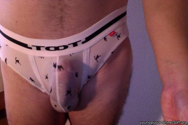 Adult image from youngjpcock