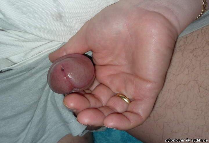 Adult image from nylonlover